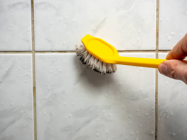 Best Office Mold Removal Services  in Latta, OK
