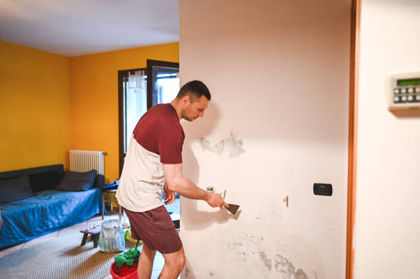 Best Fast Mold Removal  in Latta, OK